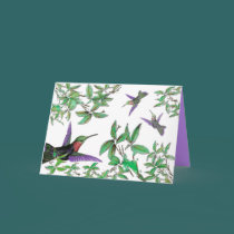 Hummingbirds Blank Note Card