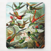 Hummingbirds by Ernst Haeckel (1) Mousepad