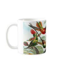 Hummingbirds by Ernst Haeckel (2) Mugs