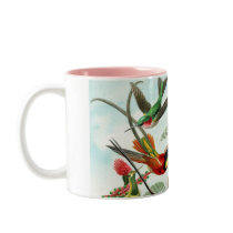 Hummingbirds by Ernst Haeckel (3) Mug
