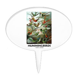 Hummingbirds Cake Toppers