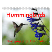 Hummingbirds Calendars