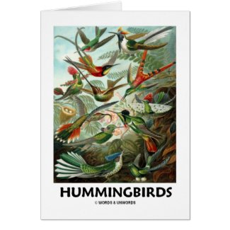 Hummingbirds Cards