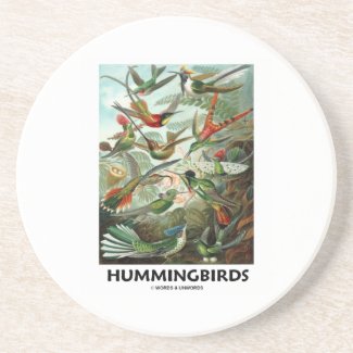 Hummingbirds Coaster