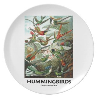 Hummingbirds Dinner Plates
