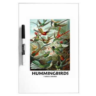 Hummingbirds Dry Erase Whiteboard
