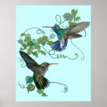 Hummingbirds Flight Poster