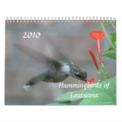 Hummingbirds & Flowers of Louisiana calendar