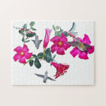 Hummingbirds & Flowers Puzzle puzzles