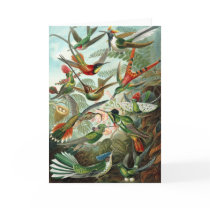 Hummingbirds Greeting Card