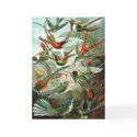 Hummingbirds Greeting Card by mosswood Hummingbirds Greeting Card
