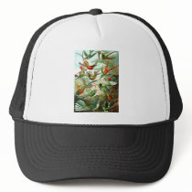 Hummingbirds Hat