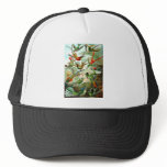 Hummingbirds hats