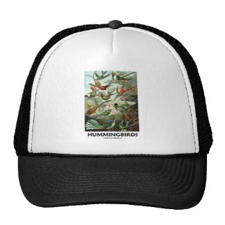 Hummingbirds Hats