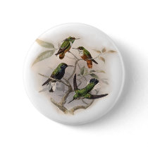 Hummingbirds In Flight buttons