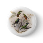 Hummingbirds  in Flight Pins
