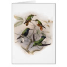  - Vintage Birds with Delightful wildlife scenes full of detail and charm on cards and invitations.: Sizes 