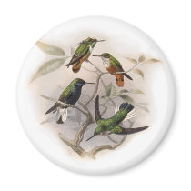 Hummingbirds In Flight magnets
