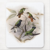 Hummingbirds  in Flight Mouse Pad