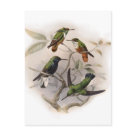  - Vintage Birds with Delightful wildlife scenes full of detail and charm on cards and invitations.: Sizes 