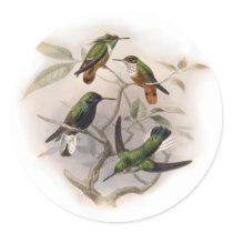 Hummingbirds In Flight stickers