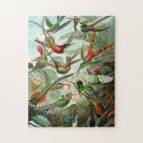 Hummingbirds puzzles