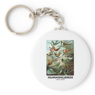 Hummingbirds Key Chains