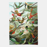 Hummingbirds Kitchen Towel