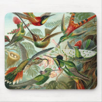 Kolibris mauspads