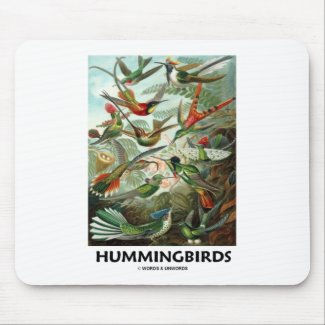 Hummingbirds Mousepads