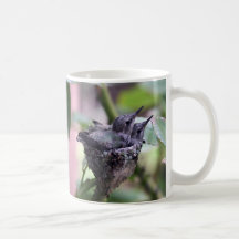 Hummingbirds mug