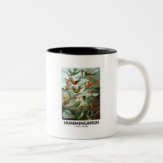 Hummingbirds Mugs