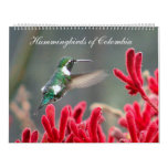 Hummingbirds of Colombia Wall Calendars