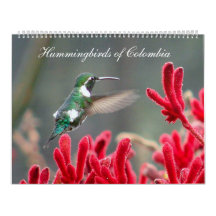 Hummingbirds of Colombia Wall Calendars