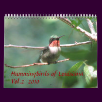 Hummingbirds of Louisiana Vol 2 calendars by naturegirl7 Hummingbirds of Louisiana Vol 2 calendars