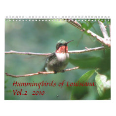 Hummingbirds of Louisiana Vol 2 calendar