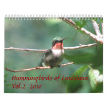 Hummingbirds of Louisiana Vol 2 Wall Calendars