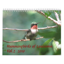 Hummingbirds of Louisiana Vol 2 Wall Calendars