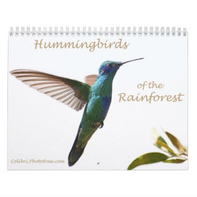 Hummingbirds of the Rainforest Calendar