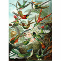 Hummingbirds Photo Cut Outs