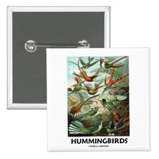 Hummingbirds Pin