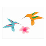 Hummingbirds Postcard