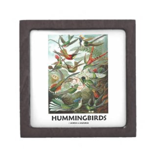 Hummingbirds Premium Gift Box