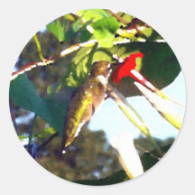 Hummingbirds Round Stickers