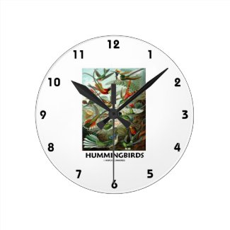 Hummingbirds Round Wall Clocks