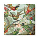 square_magnet - Lively hummingbird magnet to spruce up any metallic surface square_magnet - Lively hummingbird magnet to spruce up any metallic surface