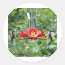 Hummingbirds Sticker