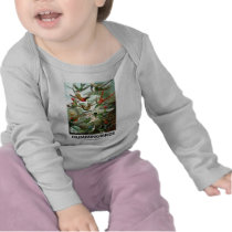 Hummingbirds Tshirts