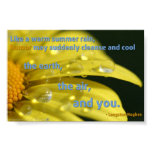 Humor Cleanse Quotation Poster