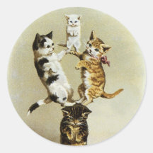 Humor lindo, el jugar de los gatitos de los gatos  pegatinas  